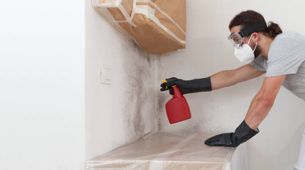 Professional Mold Testing technician working in Tomball, TX