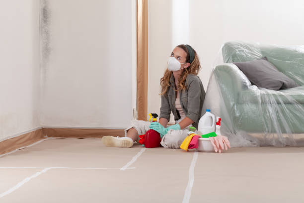 Reliable Mold Cleanup contractor in Tomball, TX by Cheap Mold Removal